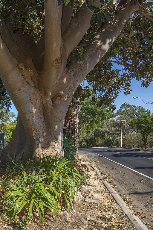 Stoneleigh Cottage Bed And Breakfast Angaston Exterior foto